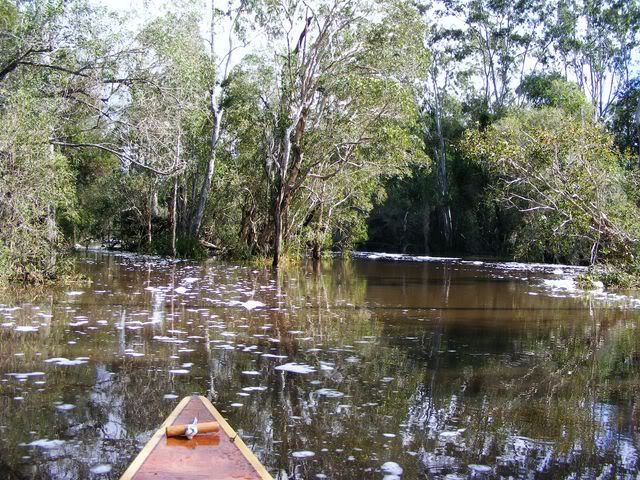 DSCF3513071.jpg