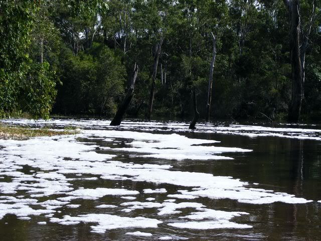 DSCF3522080.jpg