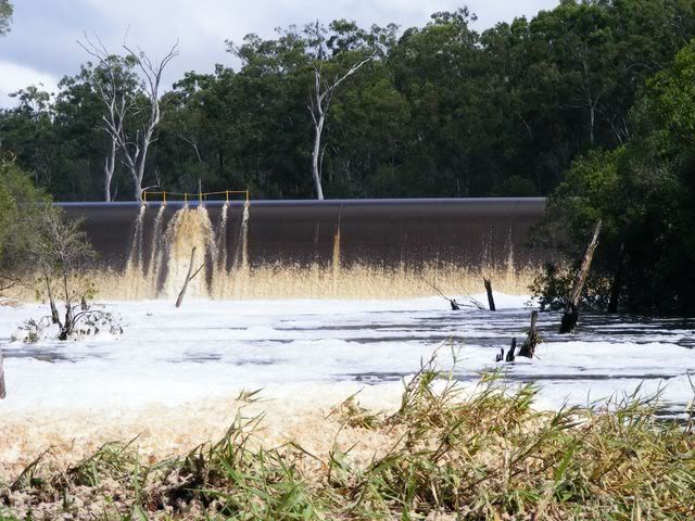 DSCF3525083.jpg