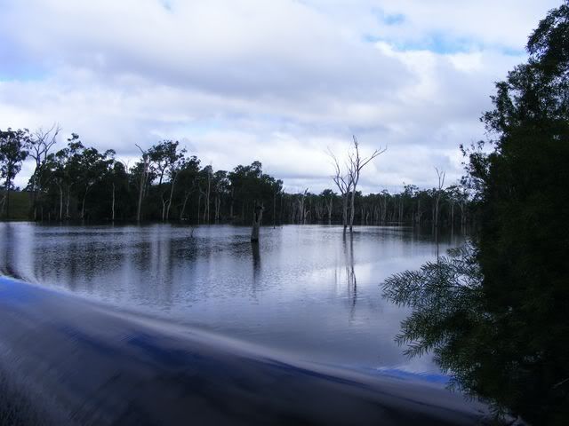 DSCF3567125.jpg