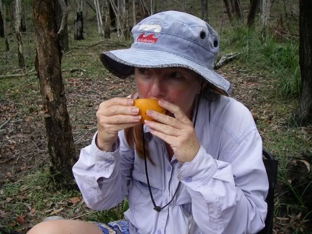 IMGP1328005.jpg