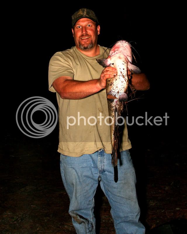 08Catfish-02.jpg