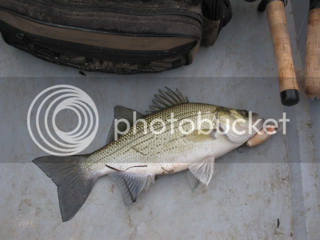 March2011FishingBoat002.jpg