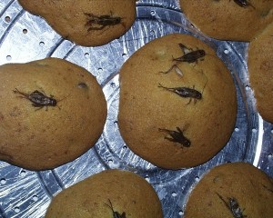cricket-cookies-300x240.jpg