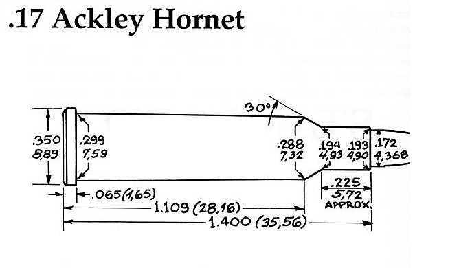 672_.17_Ackley_Hornet.JPG